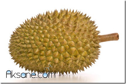 http://aksane.com/wp-content/uploads/2011/10/Durian2.png
