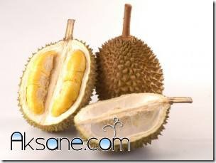 http://aksane.com/wp-content/uploads/2011/10/Durian.jpg